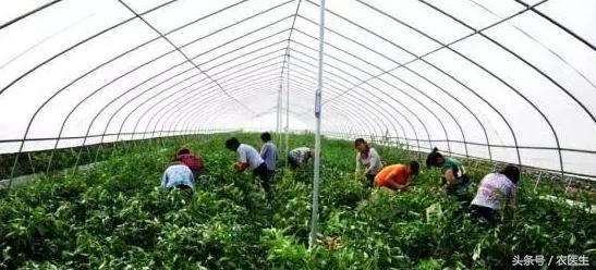 土地流转纠纷化解典型经验做法,解决土地流转问题的措施