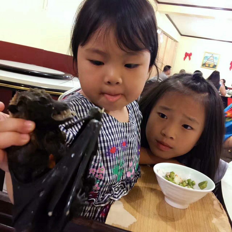 帕劳带小孩旅游攻略,帕劳带小朋友旅游攻略