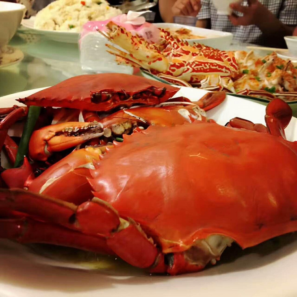 帕劳带小孩旅游攻略,帕劳带小朋友旅游攻略