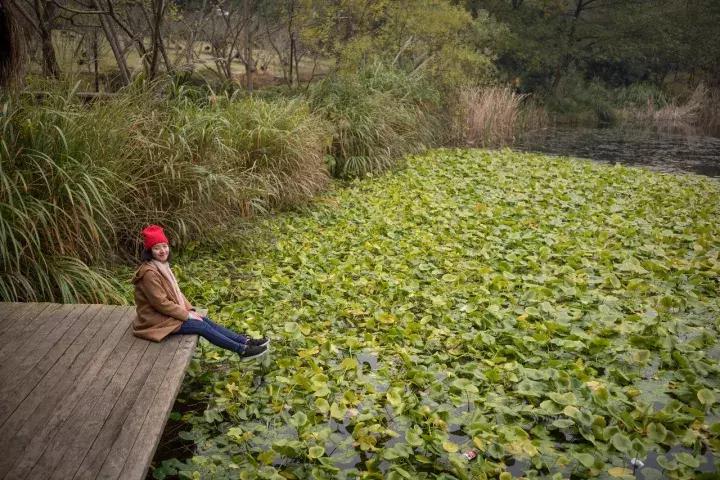 罗莱夏朵杭州紫萱度假村团购,杭州罗莱夏朵酒店日式餐厅