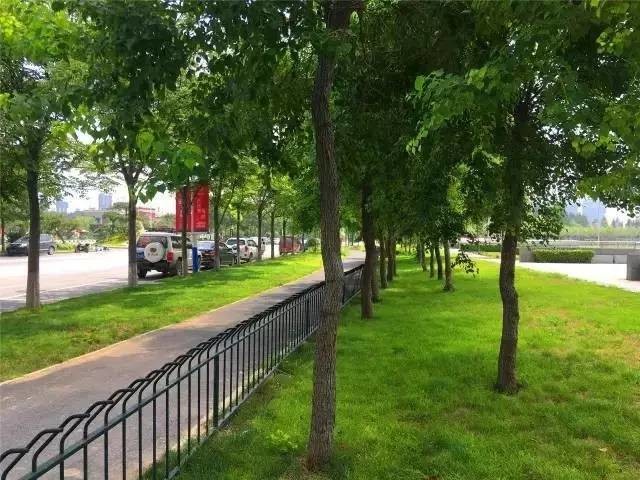 郑州公园推荐免费十一月,郑州免费公园景点推荐