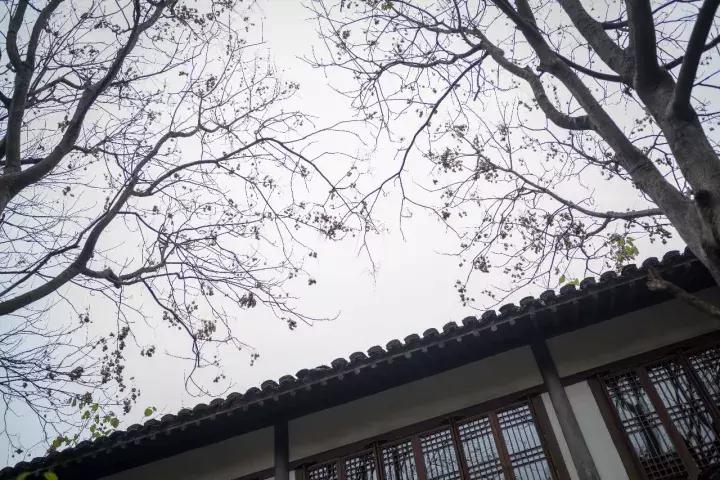 罗莱夏朵杭州紫萱度假村招聘,罗莱夏朵紫萱度假村logo