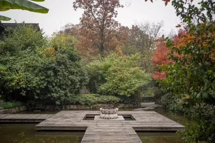 罗莱夏朵杭州紫萱度假村团购,杭州罗莱夏朵酒店日式餐厅