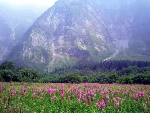 成都西成高铁旅游攻略,西成高铁和川青铁路