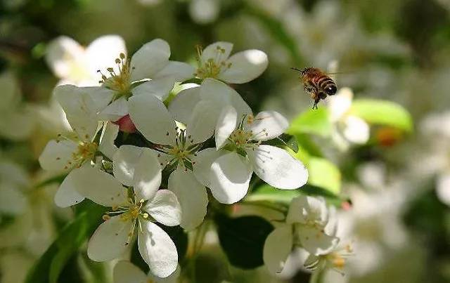南怀瑾老师讲身体出现各种问题,南怀瑾老师的原视频