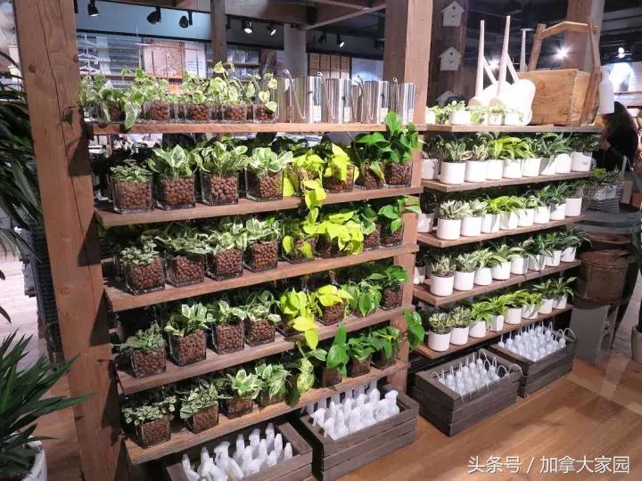 ＂MUJI北美旗舰店＂在温哥华Downtown开业：面积是Metro的一倍！