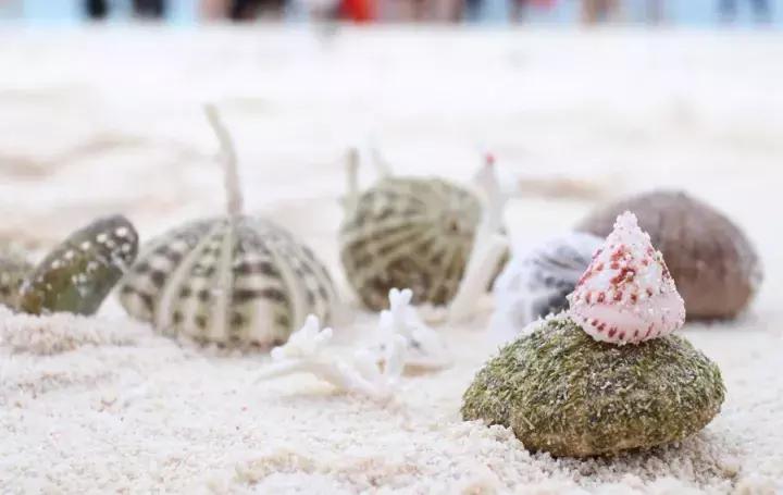 只对中国人开放的岛,只对中国人开放的沙漠