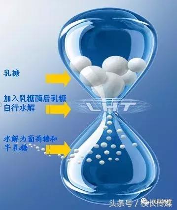 乳糖不耐受腹泻吃什么饭,乳糖不耐受腹泻会脱水吗