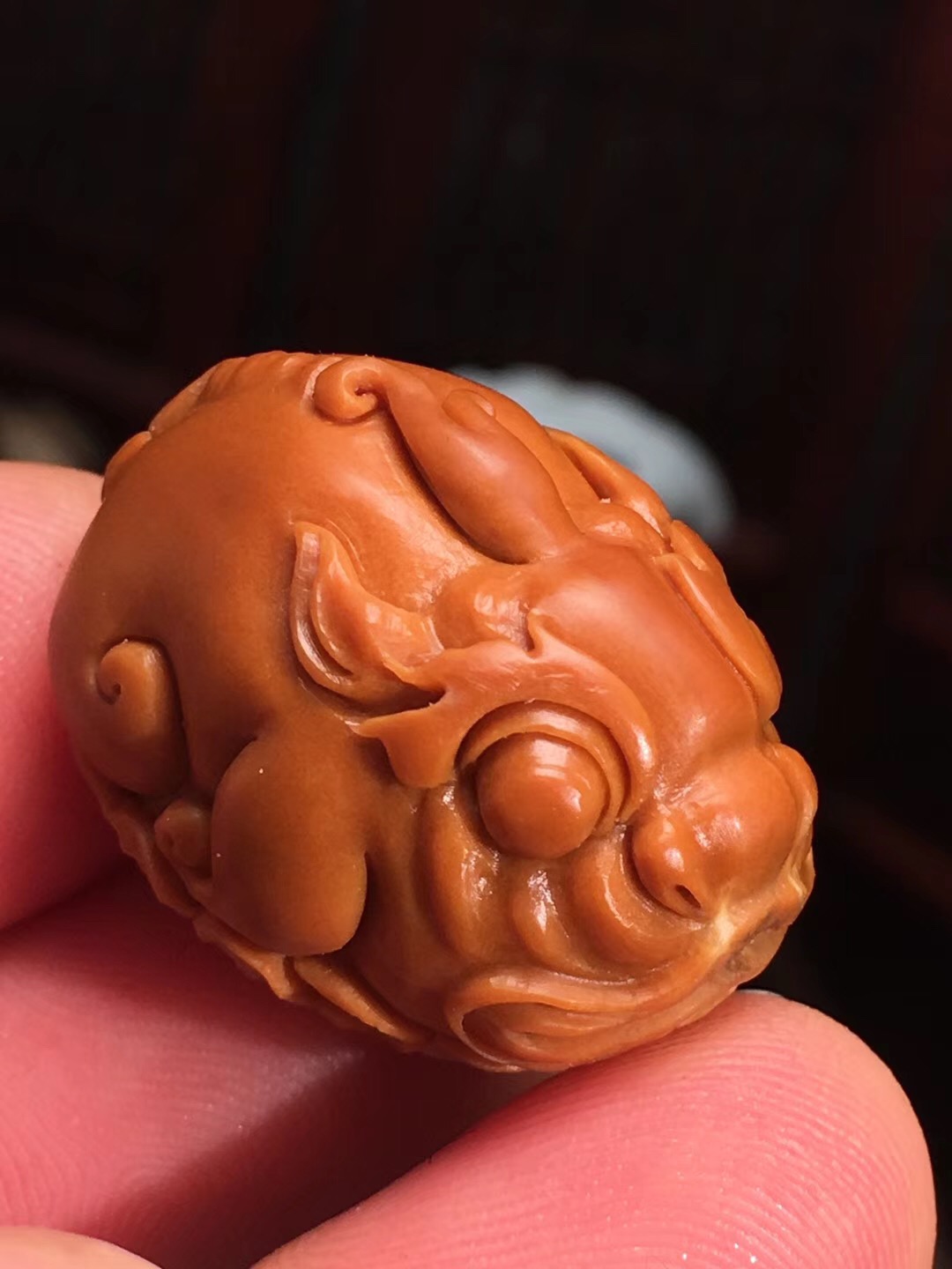 橄榄核被洗衣机洗了开裂怎么办,温差多大容易造成橄榄核开裂