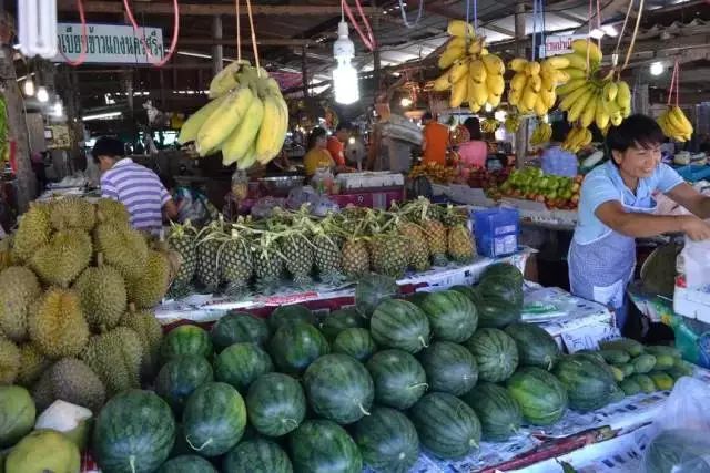 卡农去苏梅岛旅游攻略,中国到苏梅岛旅游攻略