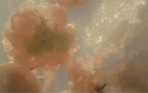 春娇喜欢的东西 (春娇最喜欢的东西)