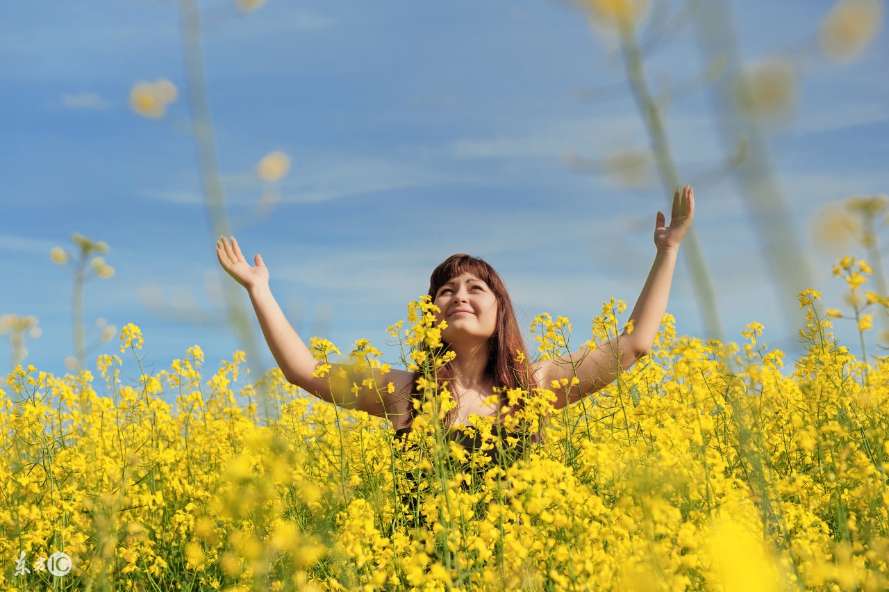 怎样去除生活中的各种异味?