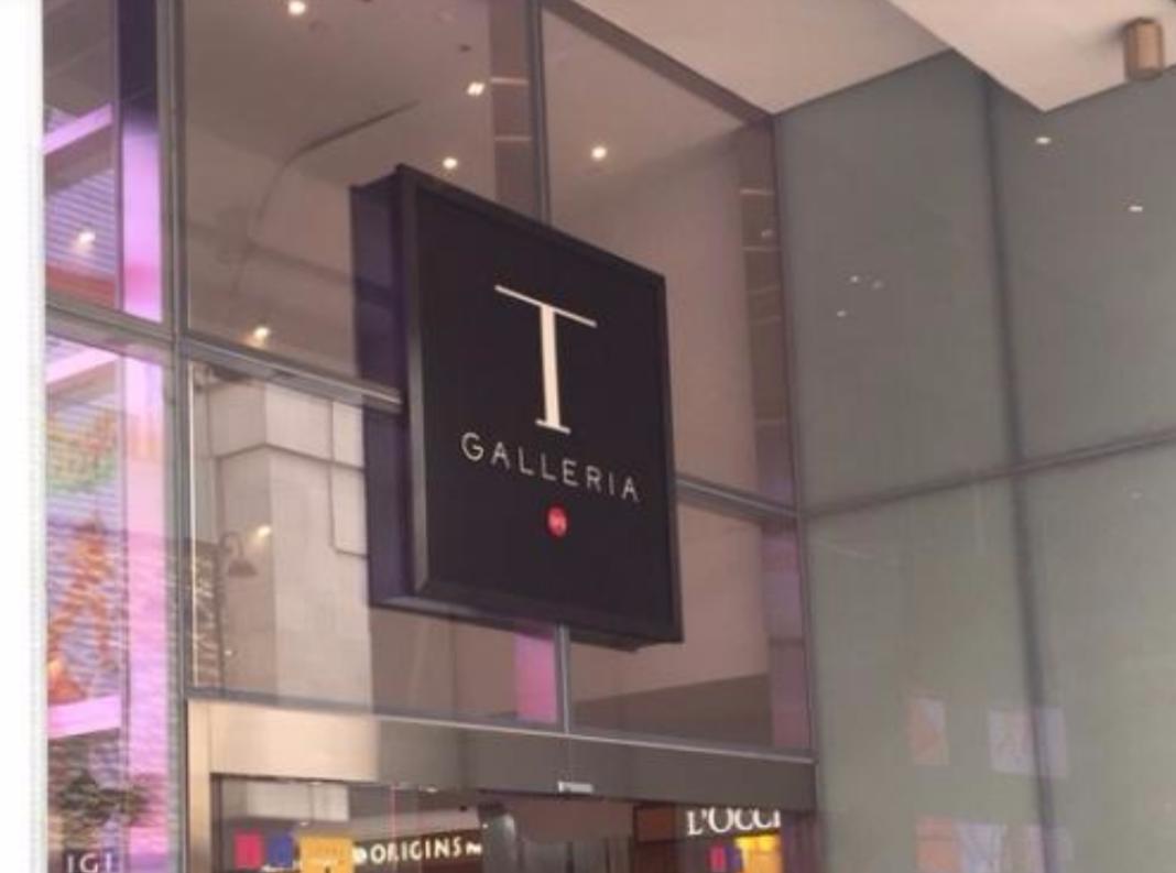 胖丫儿疯行记,2017一起香港吧（败家篇）