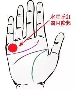 手相水型掌的命,手掌解析运势图左手断掌