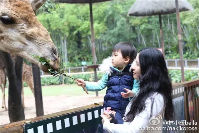 广州长隆亲子游最省钱攻略,广州长隆亲子游最全游玩攻略