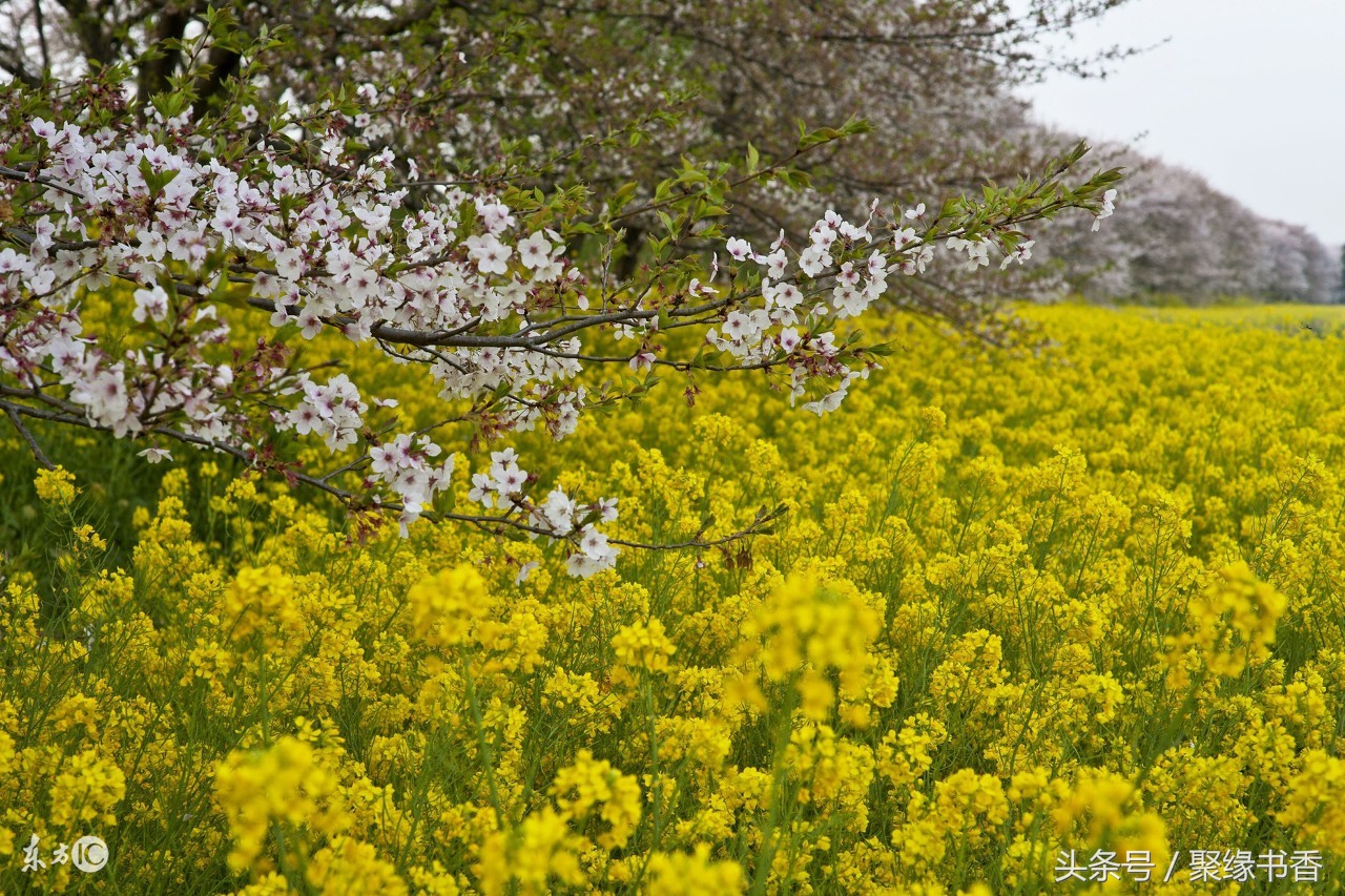 古韵古风美文欣赏,古韵美文大全100篇集锦