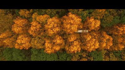 滴滴女司机开民宿,滴滴转民宿