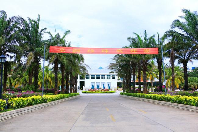 三亚市最美的景色拍摄,拍摄美丽三亚