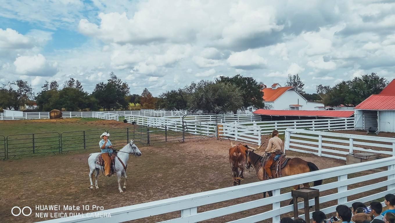 内华达州，孤独颂唱着苍茫西部的沉浮岁月