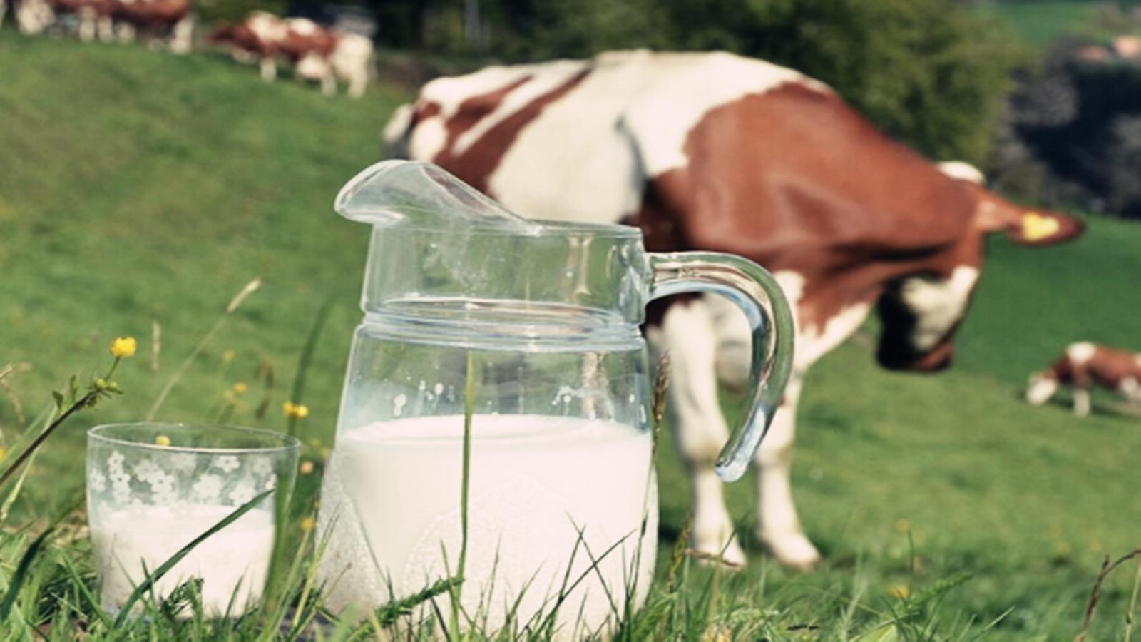 孩子上火了怎么降火最快最好,孩子上火积食吃什么去火快