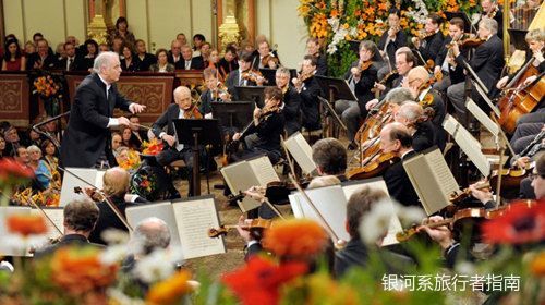 维也纳金色大厅现场买票,维也纳金色大厅购票多少钱