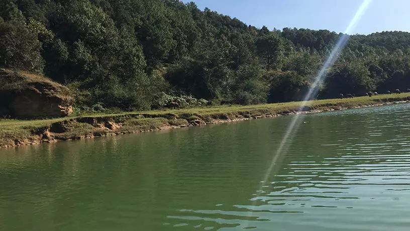 屹立东方的伊甸园你猜得到是那里吗？