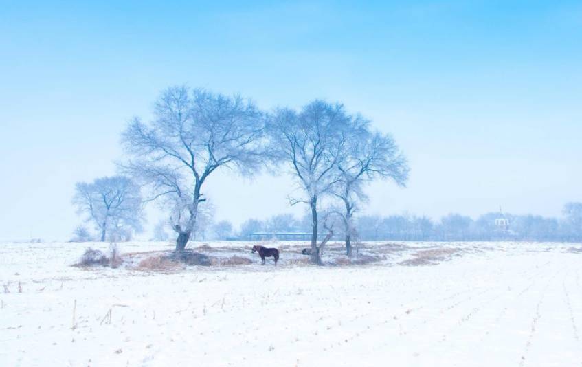 冬天值得去的旅游景点自驾游,冬季值得去旅游的十大地方