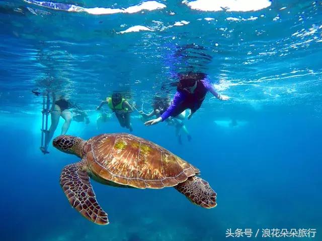 泰国过春节旅游攻略,泰国游玩景点圣诞节会贵吗