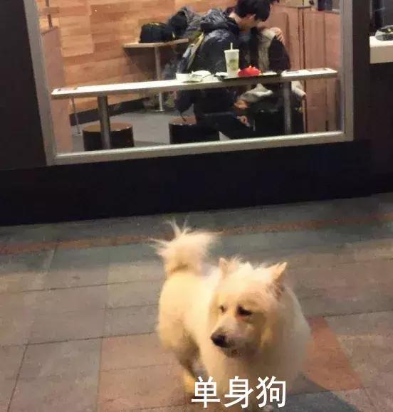 谢谢你们这么温暖,让我差点忘记了找男朋友!