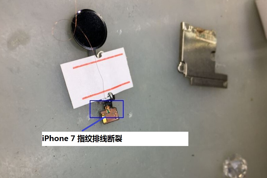 iphone7指纹排线断了换屏幕总成,iphone7指纹排线更换屏幕不亮