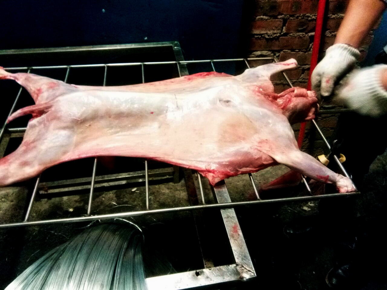 晚上吃烤全羊真实视频,这才是烤全羊的正确打开方式