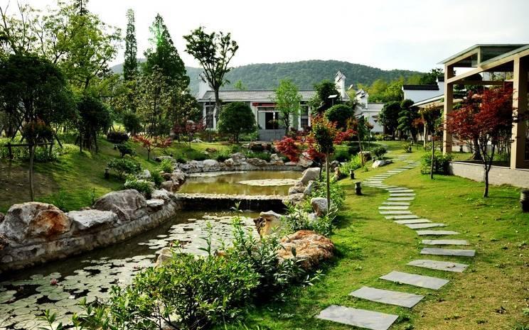 离城市不远靠自然很近,离城市不远却离自然很近完整版