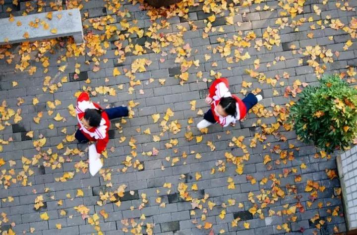 江西省上栗中学排名,江西省教育厅上栗中学