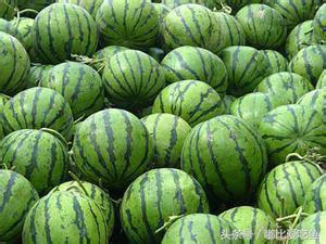 漳州市特产有哪些,漳州的特产有哪些介绍