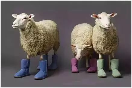 ugg凭啥这么贵,ugg有几个牌子