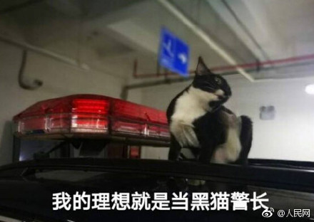 征婚找对象45至55岁男士条件优越,35岁男人征婚条件