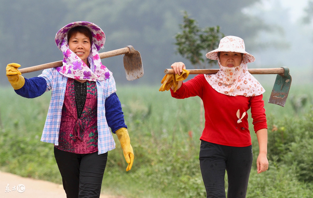 姑舅亲不算亲的俗语,姑舅亲辈亲两姨亲不算亲啥意思