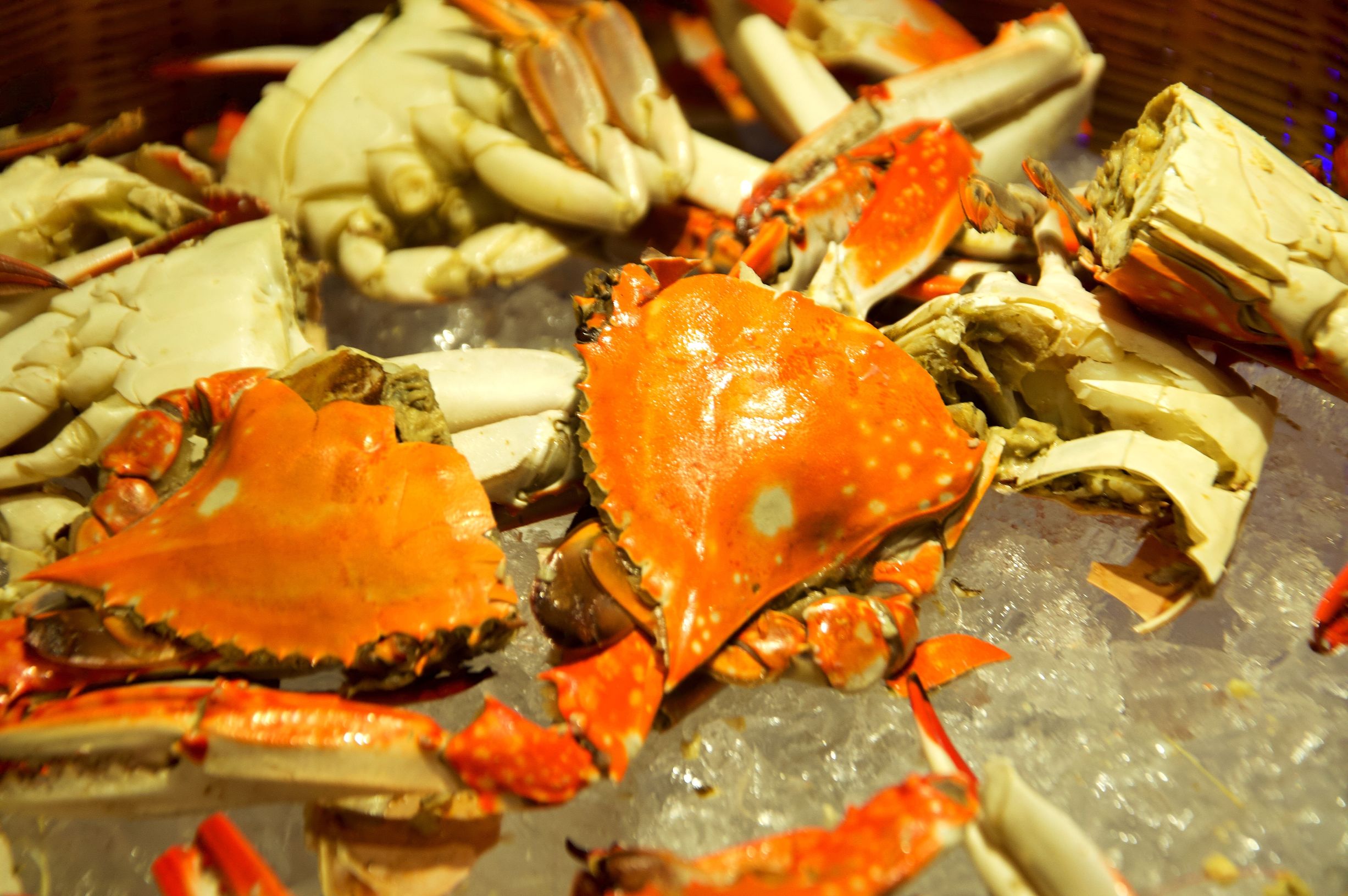 三亚度假巨无霸五天五夜玩不腻,避寒之旅三亚