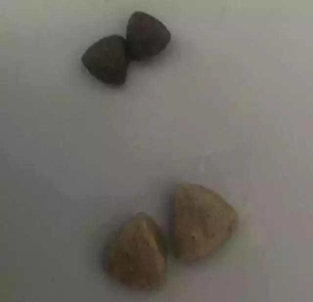 海洋之星superior测评,海洋之心一代真实测评