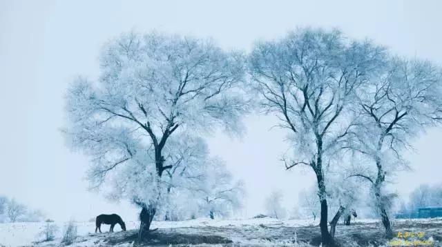 2018年等一个人陪我走川藏线,等一个人陪我去旅行