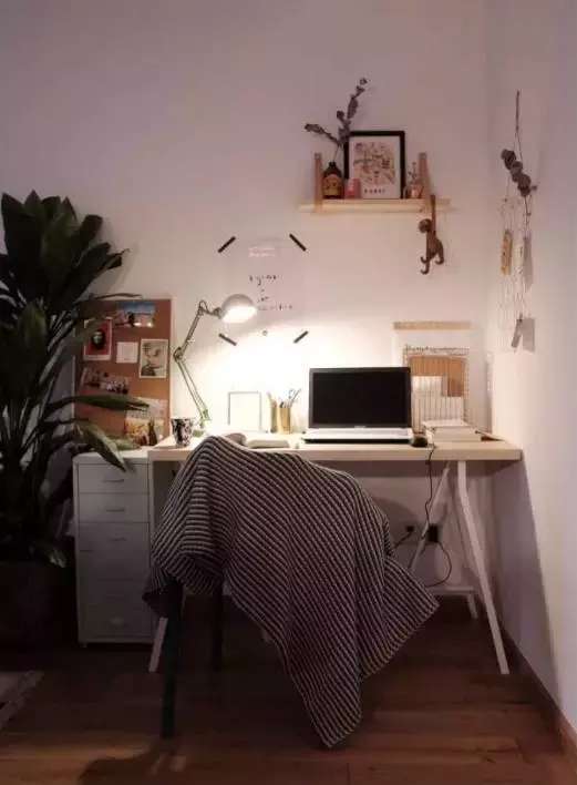 爱种花的姑娘,爱养花的女人都想把生活过的精致