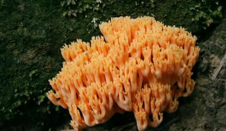 中国最牛的一个省会,中国最牛的一个县城