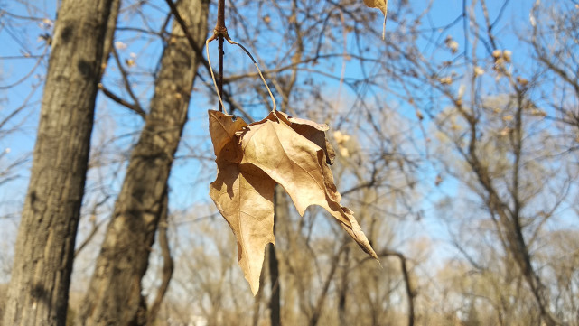 红米5PLUS整体评价怎么样,红米5plus2019年值得购买吗