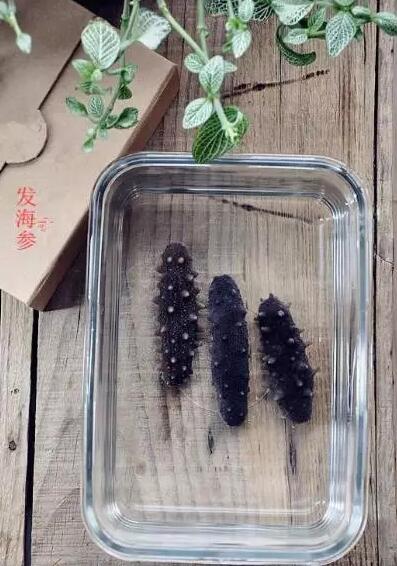 怎么挑发好的海参,怎样海参是好的海参