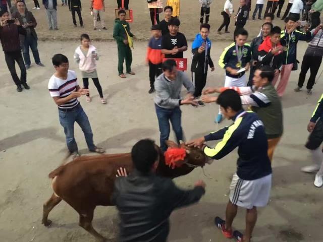 足球是战争演变而来的吗,为什么说足球是现代的战争