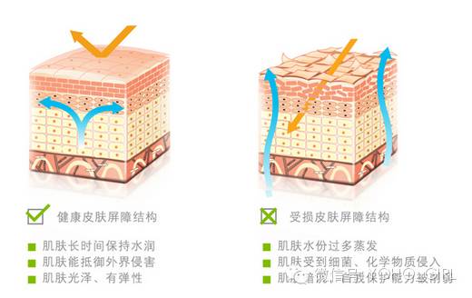 雅漾防晒美白隔离三合一,雅漾日间隔离乳