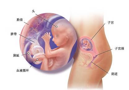孕期旅行日记,孕期日记孕21周6天