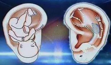 气大伤身了吃什么药调理,易怒体质该怎么调理