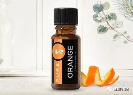 寒冷冬季，干燥肌肤不能错过的6款精油！