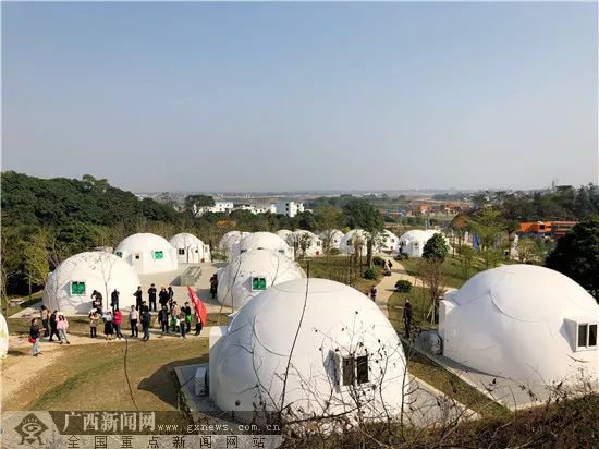 网眼看岳阳,网眼看乡村振兴